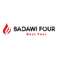 DIGITRONICS Badawi Four
