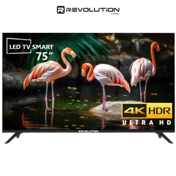 DIGITRONICS Revolution R75GS