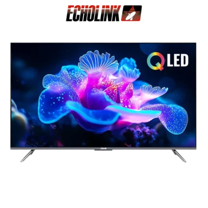 DIGITRONICS ECHOLINK - 55Q70