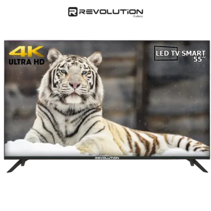 DIGITRONICS Revolution R55GS