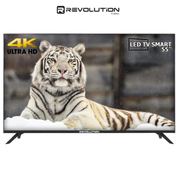DIGITRONICS Revolution R55GS
