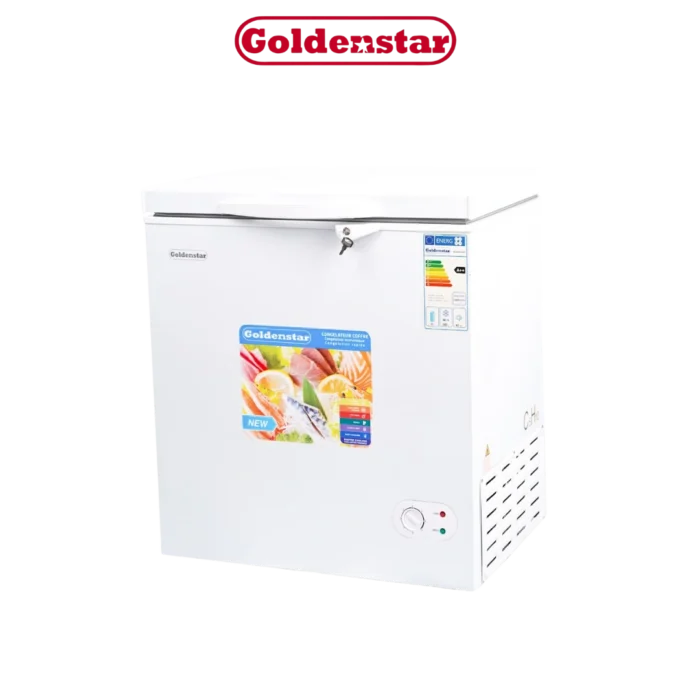 DIGITRONICS GOLDENSTAR BD240-2424