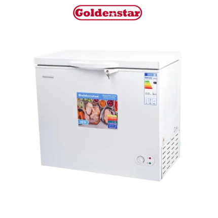 DIGITRONICS GOLDENSTAR BD290-2929