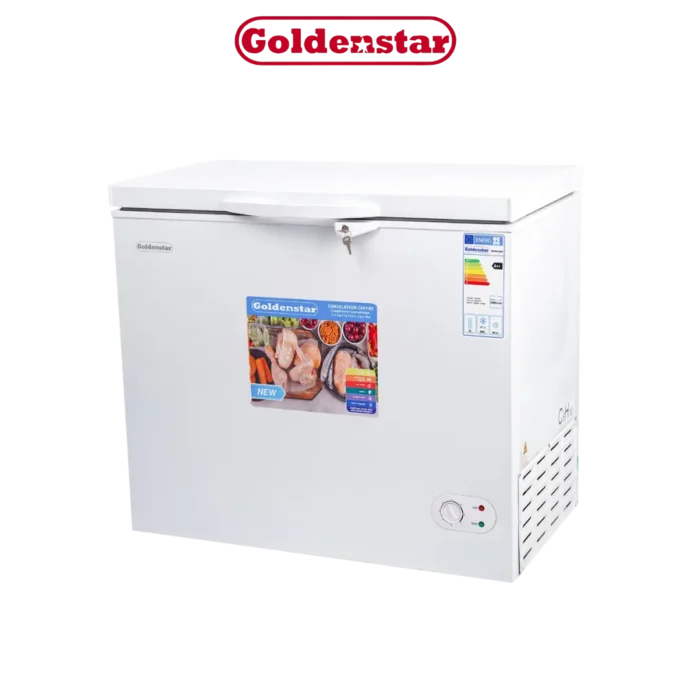 DIGITRONICS GOLDENSTAR BD290-2929