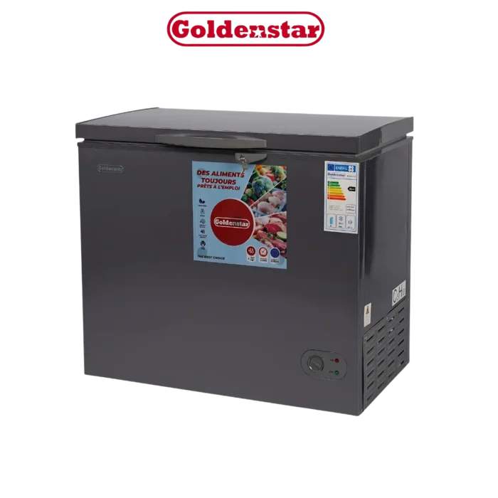 DIGITRONICS GOLDENSTAR BD290-2929