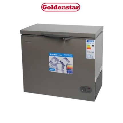 DIGITRONICS GOLDENSTAR BD290-2929