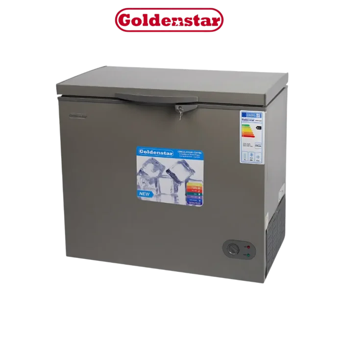 DIGITRONICS GOLDENSTAR BD290-2929