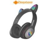 DIGITRONICS DEEPBASS R6