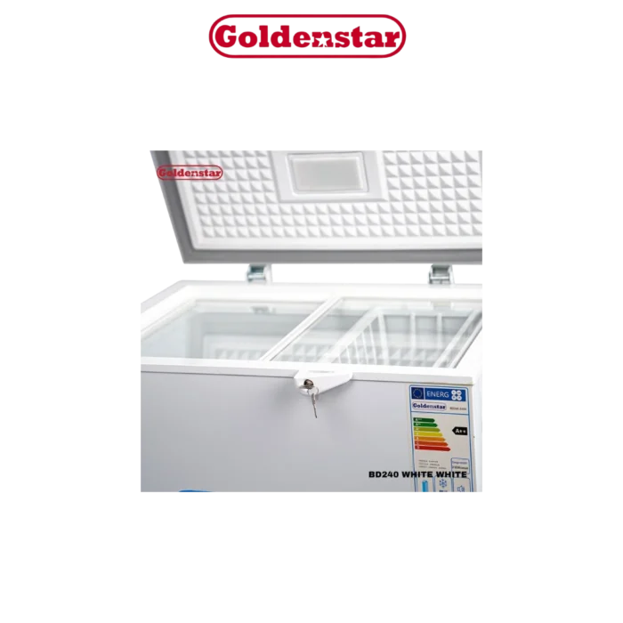 DIGITRONICS GOLDENSTAR BD240-2424