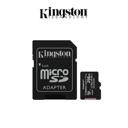DIGITRONICS KINGSTON CARTE MEMOIRE 256G