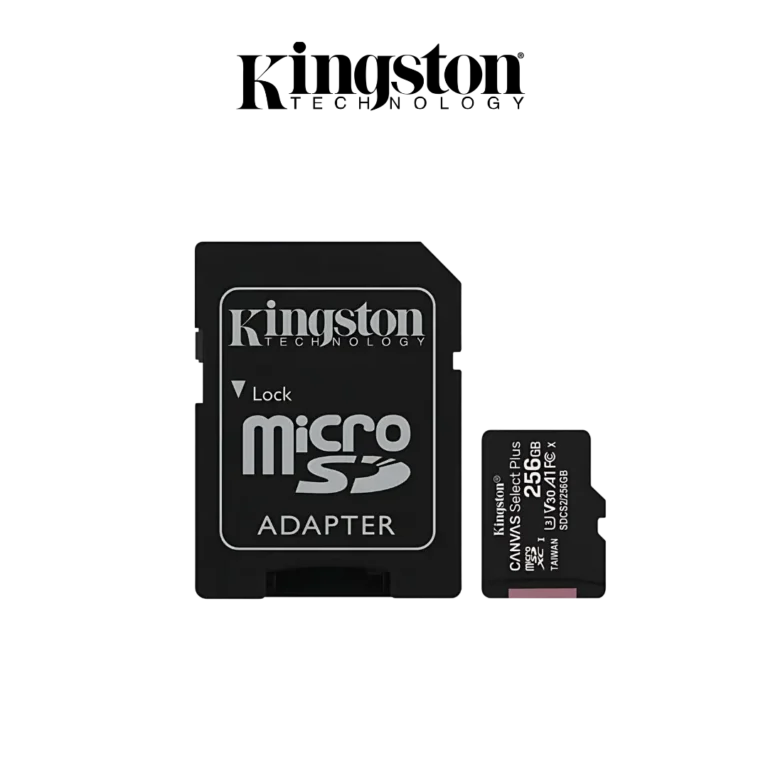 DIGITRONICS KINGSTON CARTE MEMOIRE 256G