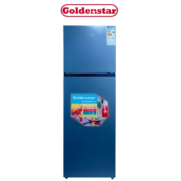DIGITRONICS Goldenstar DP440-3344