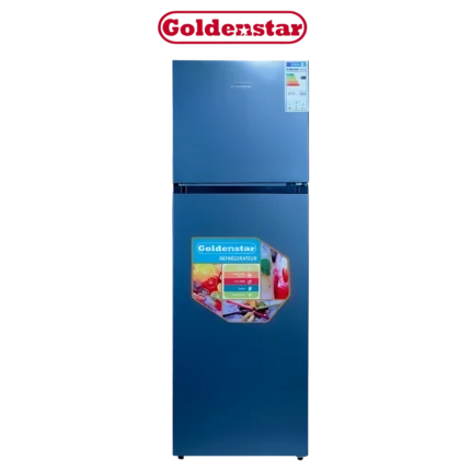 DIGITRONICS Goldenstar DP440-3344