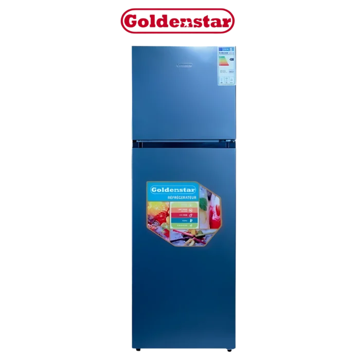 DIGITRONICS Goldenstar DP440-3344
