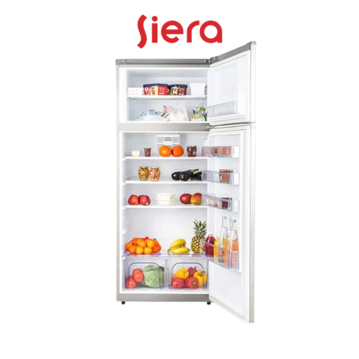 DIGITRONICS SIERA DP 450