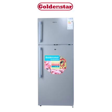 DIGITRONICS Goldenstar DP490-4449