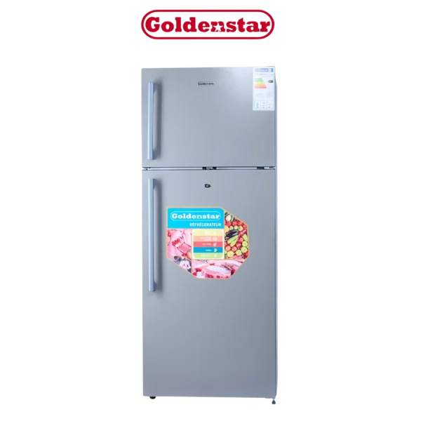 DIGITRONICS Goldenstar DP490-4449