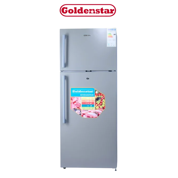 DIGITRONICS Goldenstar DP490-4449