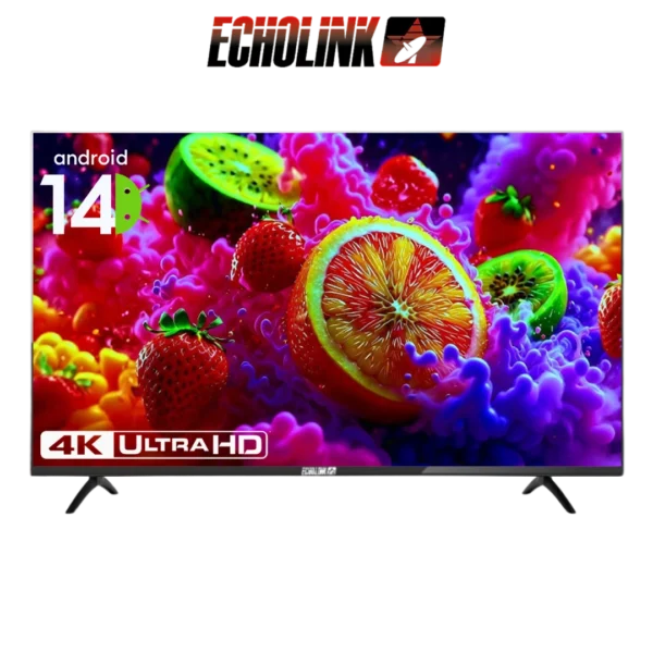 DIGITRONICS ECHOLINK 43U14