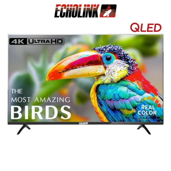 DIGITRONICS ECHOLINK 43QU14