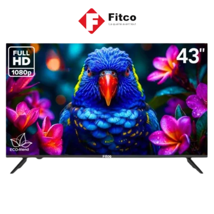 digitronics Fitco 43DF2SM